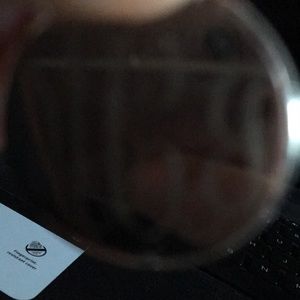 Meet your Posher, Miranda